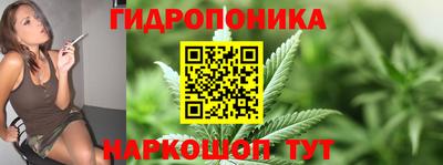 Альфа ПВП Будённовск