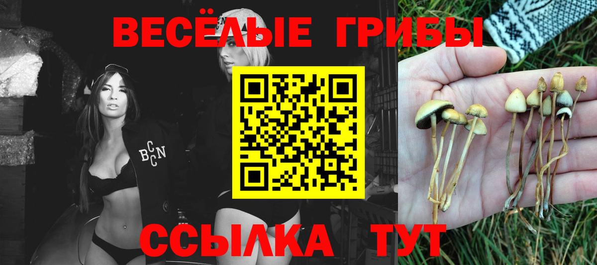 Тольятти  Галлюциногенные грибы мицелий  Вход с VPN 