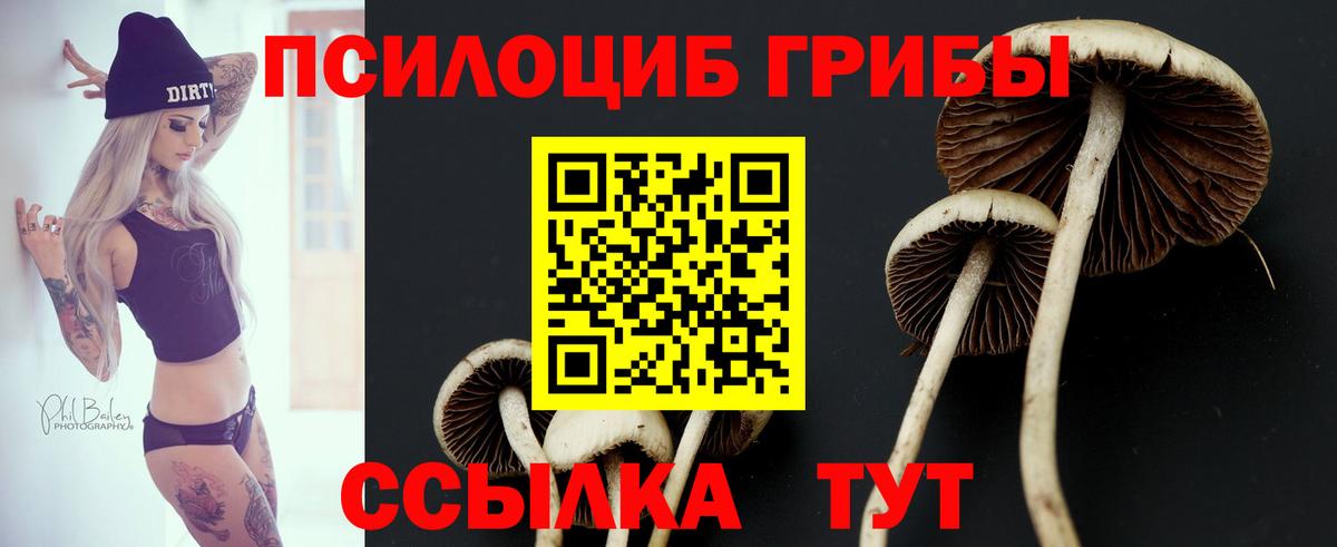 Галлюциногенные грибы Magic Shrooms Тольятти